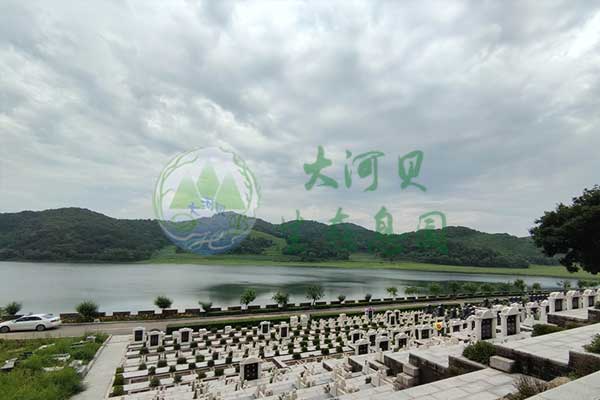 沈阳墓地办理续费需要什么?手续与注意事项详解