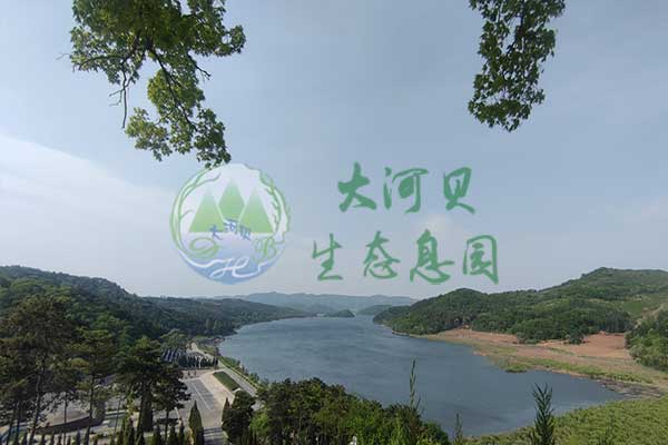 沈阳墓地到期后续费:10%是一年的费用吗?