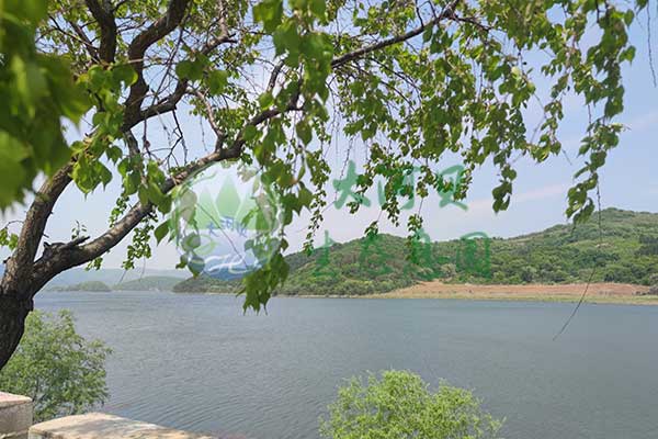 沈阳大河贝墓园,贴心服务,守护家属情感