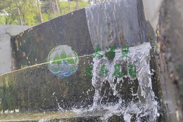 沈阳大河贝墓园全方位服务,价格实惠