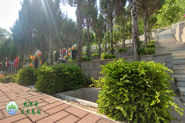 沈阳公墓树葬:作为一种环保、节地的新型葬法!