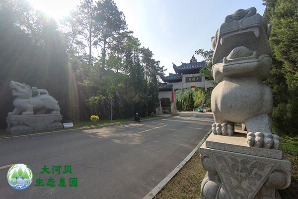 沈阳墓地祭扫流程的正确步骤及注意事项有哪些?