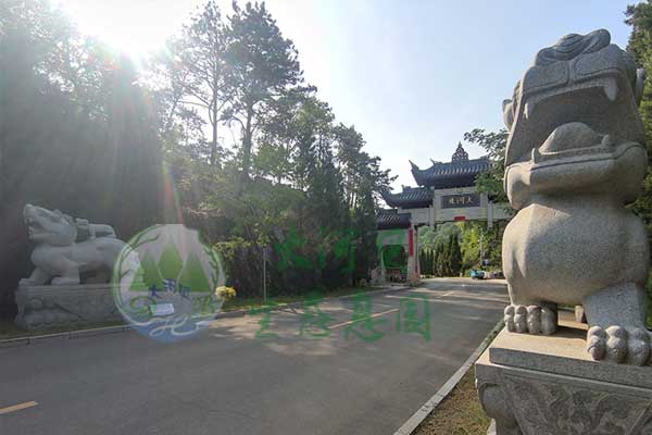 煤都美景尽收眼底,沈阳繁华一望无际,大河贝墓园三面环抱铁岭